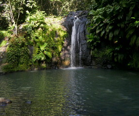 cascade de bis, tropical waterfall in the caribbean jungle, sain