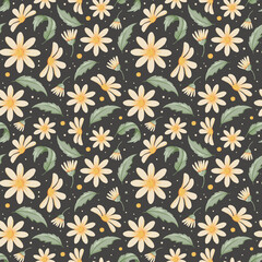 seamless pattern, botanical pattern chamomile flowers, chamomile background