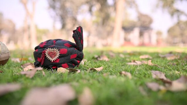 pagri in  the grass