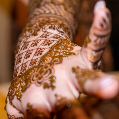 Travel To India for Traditional Wedding and a Bit of Sightseeing