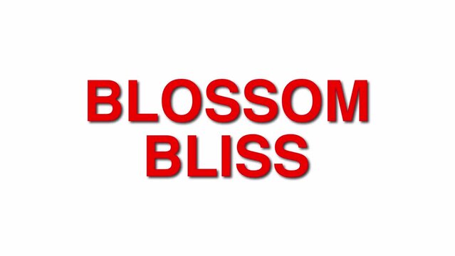 Blossom Bliss 3D Elegant title reveal text animation Red Color with shadows on a white background