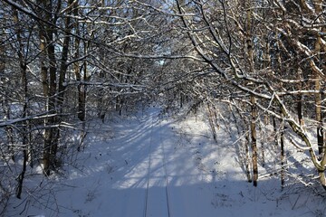 Eisenbahn, gleis, schienen, winter, schnee, wei&szlig;, natur, frost, jahreszeit, br&uuml;cke, b&auml;umeisenbahn