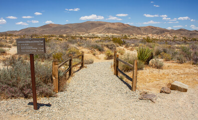 Entrance to three hiking trails in Joshua Tree National Park, California, USA