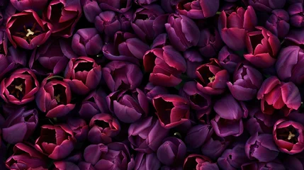 Poster Seamless tulips flowers field background wallpaper © Pixel Palette