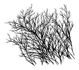 Obraz premium galhos.eps