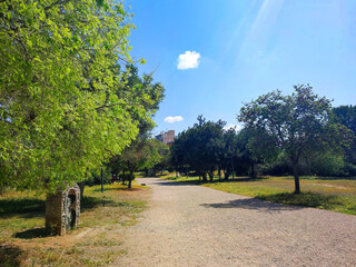 Photo of Plato's Academy Park, a historic public park located in Akadimia Platonos, in downtown Athens, Greece.