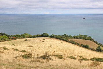 Coast of South Devon above Maidencombe