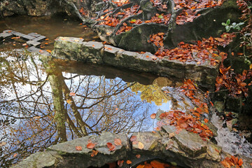 Decoy Country Park, Devon in Autumn