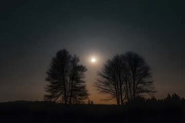 Silhouette of trees against moonlit night sky background