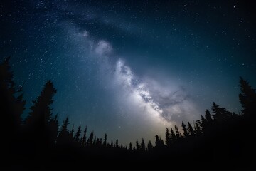 Fototapeta na wymiar Starry night sky mesmerizes above forest silhouette
