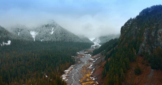 Spectacular scenery of mountains covered with mist and pine-tree forests overgrowing the rocks. Drone footage above the narrow river flowing at the foot of mountains. Mount Rainer national park
