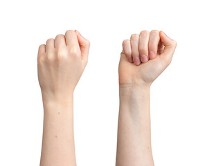 Fists raised up, front and back view, isolated on white background, transparent png