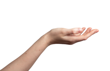 Hand palm stretching out, cup shape, showing gesture, isolated on white background, transparent png