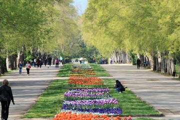 Spring in the Sea Garden of Varna (Bulgaria)
 - obrazy, fototapety, plakaty