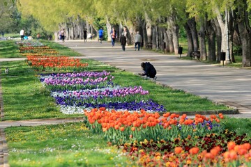 Spring in the Sea Garden of Varna (Bulgaria)
