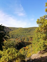 Znojmo forest