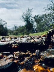 Water covered rocks on a dirt road