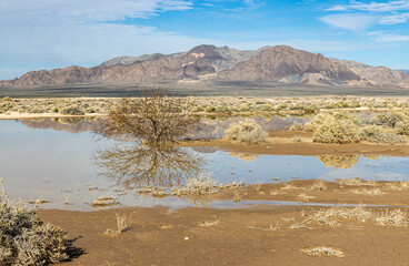 Reflection of The Funeral Mountains in Small Pool, Armagosa Valley, California, USA