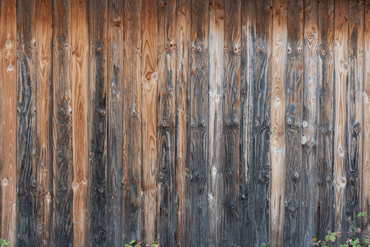 old wooden wall in black and brown with some plants in front