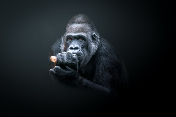 close-up artistic portrait of a gorilla