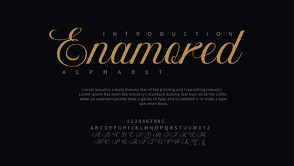 Enamored premium luxury elegant alphabet letters and numbers. Vintage wedding typography classic serif font decorative vintage concept. Creative vector illustration - obrazy, fototapety, plakaty