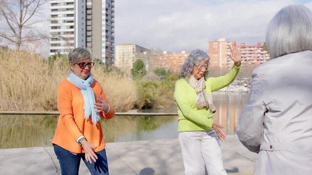 Beginner women learning Tai Chi in a park. Senior people doing relaxing exercise outdoors.