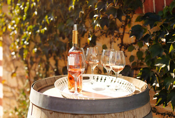 Many glasses and bottle of rose wine in the autumn vineyard