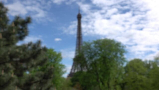Plan fixe avec vue floue sur la tour Eiffel et vie sauvage
