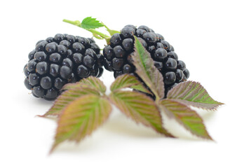 Closeup shot of fresh blackberries. - 783992223