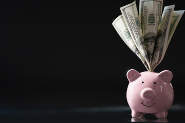 Pink piggy bank with US Dollar bills as symbol of economy, business, investment. Copy space for design.