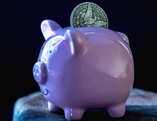 Pink piggy bank with coin as symbol of economy, business, investment. - 783992465