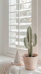 cactus in a pot on a window in white interior against the window grill