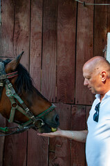 Man with horse in stable at countryside ranch. Man horse rider in summer outdoor. Equestrian and...