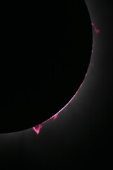 Total solar eclipse close up of solar flares