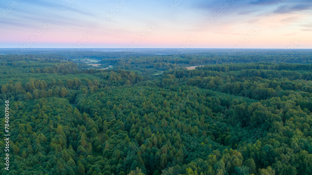 Poster a large forest with a beautiful blue sky in the background. the sky is a mix of pink and blue, creat