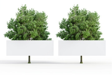 white empty banners on background of two trees isolated on simple background