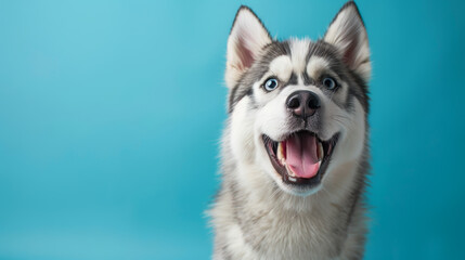 A happy dog with a blue background. The dog is smiling and has its tongue out. The blue background gives the image a calm and peaceful mood - Powered by Adobe