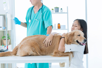 Dog owner crying in animal hospital. Woman with her dog in hospital. A girl hugs a dog.