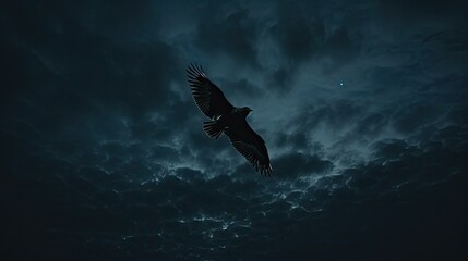 Obraz premium eagle in the sky