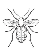 Easy one line insecta coloring page, outline, white color, white background, ai generated 