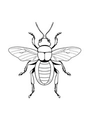 Easy one line insecta coloring page, outline, white color, white background, ai generated 