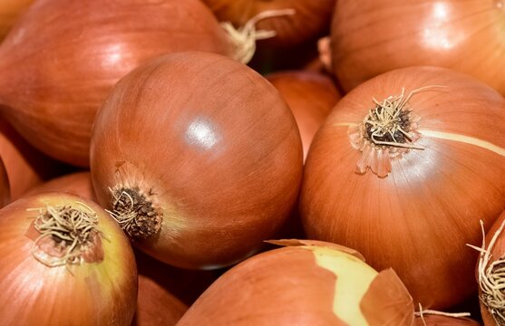 photos of onions prepared for sale