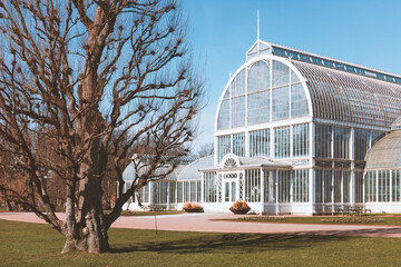 Fototapeta na wymiar The Palm House in Gothenburg lush garden, a Victorian style glasshouse, standing elegantly beside a bare tree, concept of historic conservatories and tourism. Gothenburg, Sweden