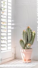 cactus in a pot on a window in white interior against the window grill