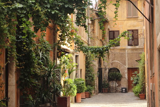 Fototapeta Trastevere alley in Rome with bushes