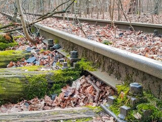 Scenic view of a tranquil railroad track winding through a lush green forest with moss-covered...