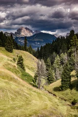 Fototapete Majestic Dolomites Behind the Soft Green Seiser Alm © Marcel
