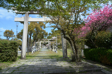 三宅八幡宮　参道の鳥居　京都市左京区上高野