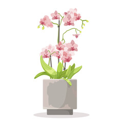 Vector illustration of pink orchids in a ceramic pot, cartoon style, on a plain background, concept of home decor. Vector illustration