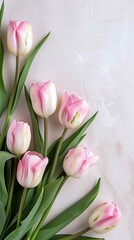 top view of pink tulips on table
